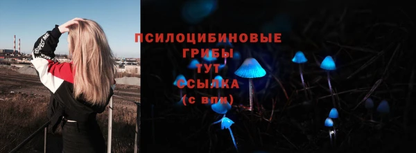 трава Алексин