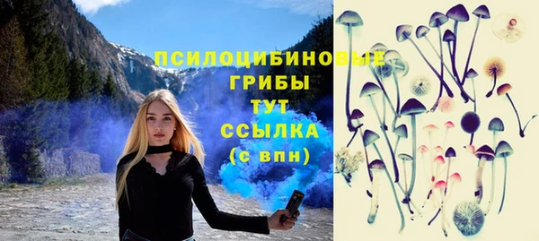 трава Алексин