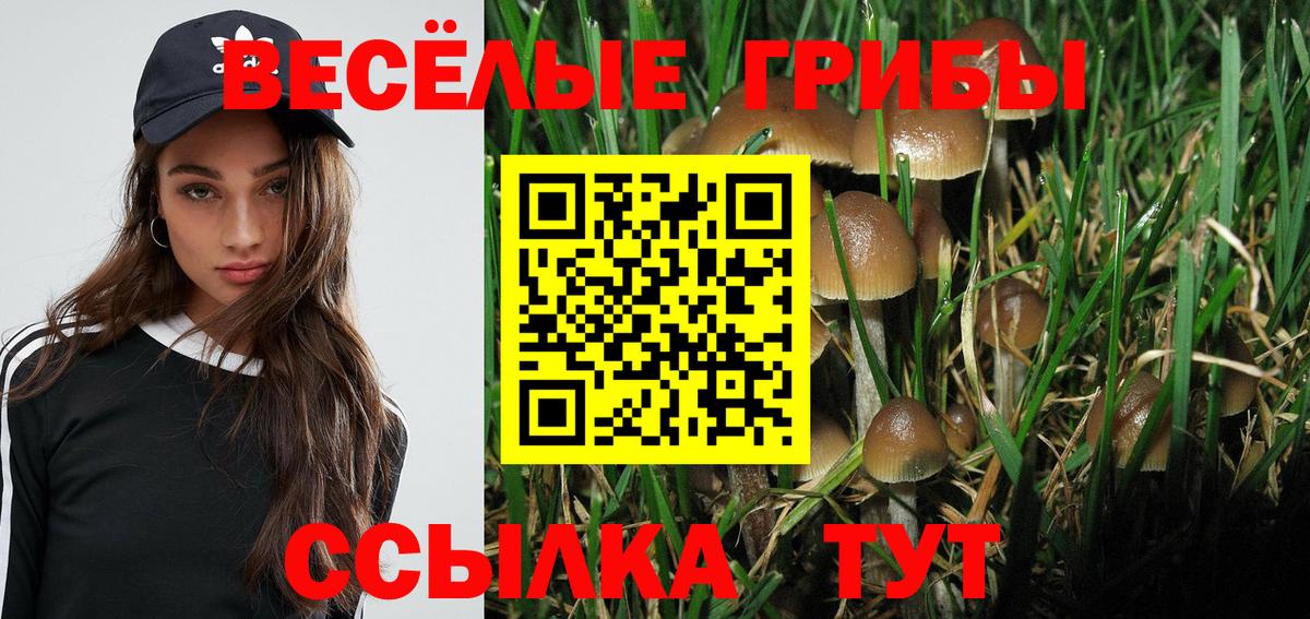Псилоцибиновые грибы мицелий Волхов