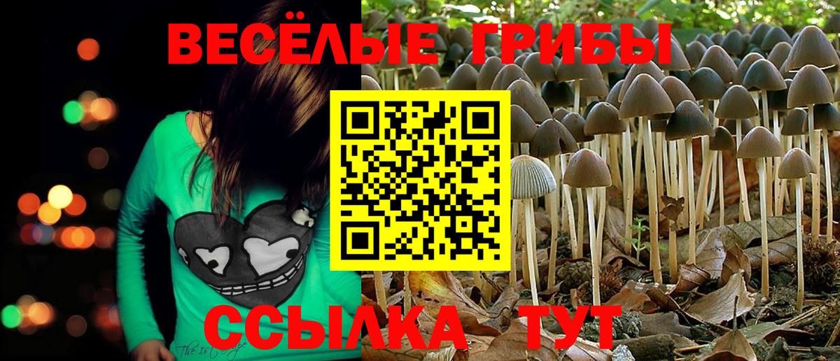 Псилоцибиновые грибы Cubensis  Вход с VPN  Волхов 